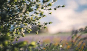 Погода в мегаполисах Казахстана 21 апреля 2026 года - что прогнозируют синоптики