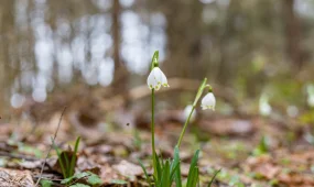 Ауа райы құбылады