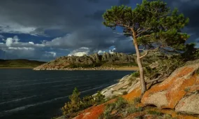 Женщину спасли из болота в Баянауле