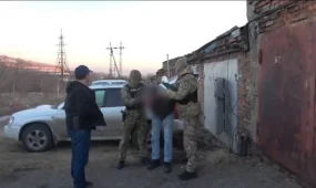 До 12 лет тюрьмы грозит владельцу гаража, забитого марихуаной в ВКО