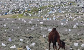 «Море» пластиковых пакетов в мангистауской степи возмутило казахстанцев