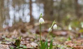 Жаңбыр, найзағай: бүгінгі ауа райы болжамы