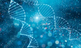 ІІМ марқұмның жеке басын ДНҚ арқылы анықтады