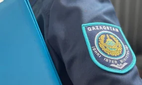 Шатырда жасырынған: ІІМ "Іздеу" жедел-профилактикалық іс-шарасын қорытындылады