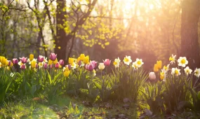 Казгидромет прогнозирует переменчивую погоду в Астане, Алматы и Шымкенте 25 апреля 2026 года