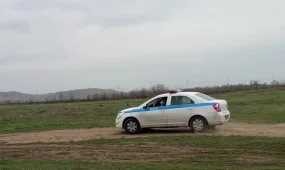 4 часа полицейские Восточного Казахстан вели поиски пропавшей 3-х летней малышки