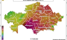 О ливнях с градом предупредили в МЧС