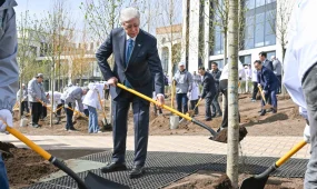 Токаев с экоактивистами посадил дерево