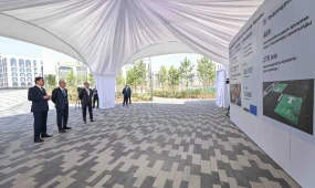 Женис Касымбек доложил Президенту об озеленении и благоустройстве столицы