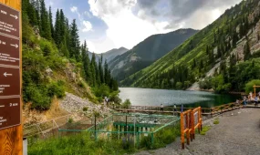 Көлсайда автокөлік жардан құлап кетті