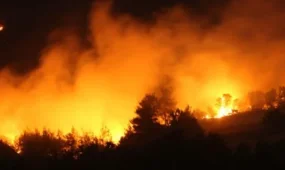 Жапонияда орман өртеніп жатыр: тұрғындар үйін тастап кетті