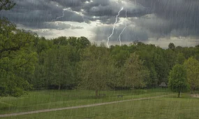 Күн күркіреп, жаңбыр жауады