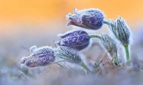 Снег, град, заморозки: погода на три дня в Казахстане