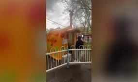 Астанадағы Орталық саябақта екі бүлдіршін жазым бола жаздады