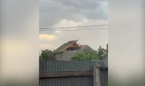 Павлодарда дүлей дауылдан 2 адам жарақат алды