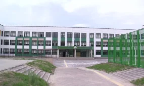 Двух несовершеннолетних братьев подозревают в убийстве 17-летнего парня в Алматинской области