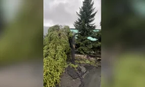 Две женщины пострадали из-за урагана в Павлодарской области