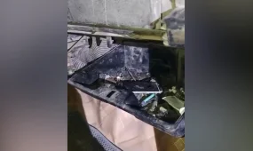 В павлодарских колониях пресекли сразу две попытки передачи мобильных телефонов осуждённым