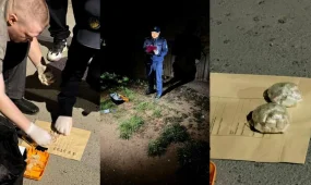 В Павлодаре ликвидирован крупный канал сбыта синтетических наркотиков (ВИДЕО)