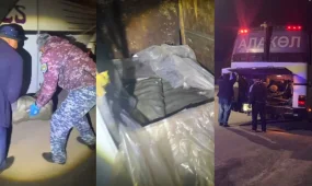 Жетісуда 4 қап балық аулаған зейнеткер ұсталды