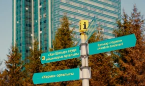 Астанада 5 күнде 1,5 мыңнан астам жол ережесі бұзылған