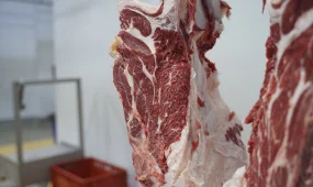 Ет алуға бір адам жылына 212,4 мың теңге жұмсайды