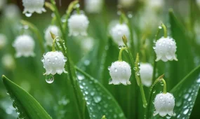 Май в Казахстане начнётся с бурь и гроз с градом