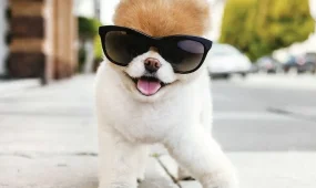 Погода без осадков ожидается в мегаполисах в четверг, 30 апреля