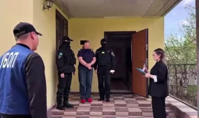 Попытку продажи новорождённого пресекли полицейские в Кызылординской области