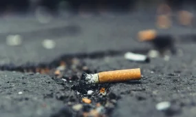 За окурок у здания полиции житель Шетпе получил 40 часов общественных работ