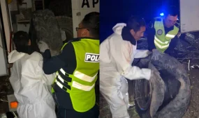 Полицейские в Мангистауской области помогли водителю на ночной трассе (ВИДЕО)