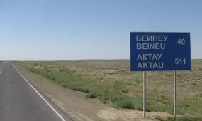 Автодом с туристами из Швейцарии опрокинулся под Актау