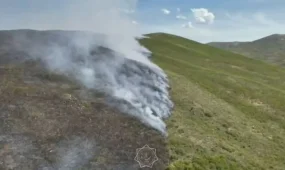 Лесной пожар тушат с воздуха у Бухтарминского водохранилища