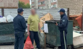 Петропавлда жыл басынан бері 2,5 мыңнан астам абаттандыру ережесін бұзу фактісі анықталды