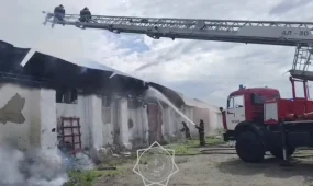 Крупный пожар произошел на предприятии в Костанайской области