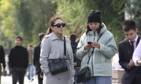 Депутаты предлагают усилить контроль в сфере мобильной связи и цифровых сервисов