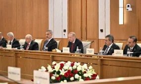 Эрдоган заявил о поддержке единства Казахстана и назвал цель по товарообороту
