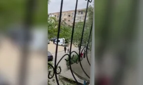Полуторагодовалый ребенок погиб под колесами полицейского авто в Актау