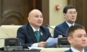 «Халық кеңесі» туралы заң жобасы бірінші оқылымда мақұлданды