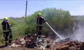 Пожар возле дач в Астане удалось остановить до распространения огня (ВИДЕО)