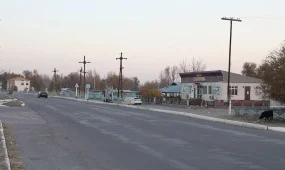 Сотрудник полиции совершил смертельный наезд на собственную супругу в Алматинской области