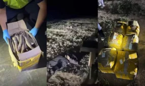 Шесть человек задержаны по подозрению в незаконном сбыте рогов сайги