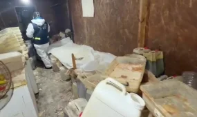 Есірткі зертханасын басқарған ерлі-зайыпты Грузияда қолға түсті