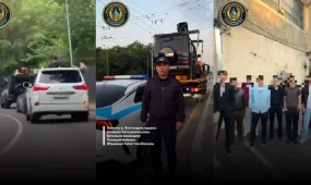 Алматыда мектеп түлектері ұйымдастырған автокортеж тоқтатылды