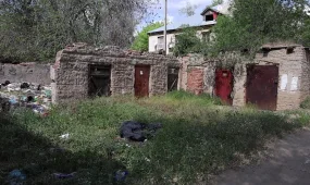 Ақтөбеде қоқыс жәшігінен шақалақ табылды