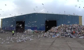Экологиялық бақылау күшейтіледі: Мәжіліс Заңды бірінші оқылымда мақұлдады
