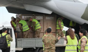 Новая партия лошадей Пржевальского прилетела в Казахстан
