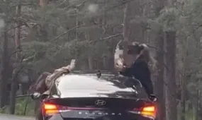 Съемка видео по дороге в Боровое обернулась наказанием для водителя из Астаны