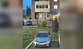 Пьяный мужчина с ружьём устроил дебош на улице и застрелил собаку в Семее