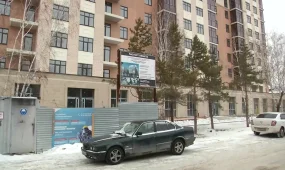 Судебное решение есть - деревьев нет: экологический спор в Караганде затянулся на 2 года